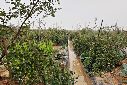 VNPT Check - Giải pháp tin cậy để phát hiện hàng giả