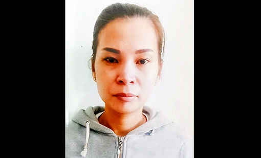 "Nổ" thân với ban giám đốc DN để xin việc, "nữ quái" lừa tiền nhiều người