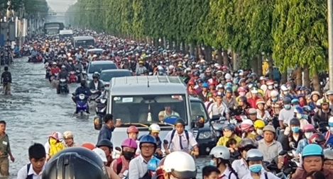 Triều cường lên đỉnh, phụ huynh lội nước đưa con đến trường