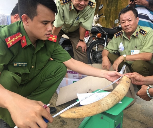 Gần 18 kg vật phẩm dạng sừng nghi vấn là ngà voi nhập lậu