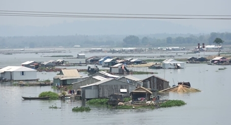 Di dời 168 hộ nuôi cá bè trên sông La Ngà sau nhiều lần cá chết