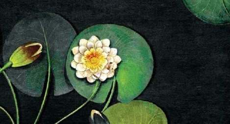 Nhà văn Việt bàn về ông hoàng đương đại của trinh thám Pháp 