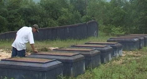 Kỳ lạ hàng trăm ngôi mộ ở Huế bị... đóng đinh