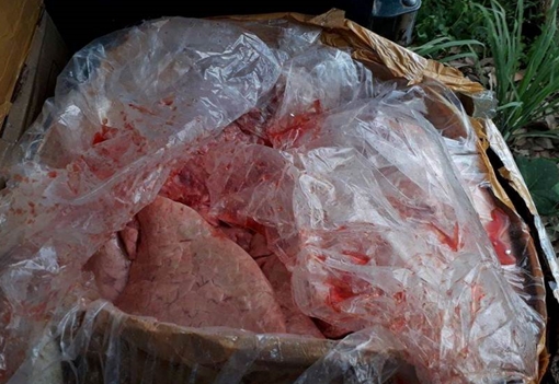 Phát hiện xe tải chở 2,4 tấn nội tạng động vật đi tiêu thụ