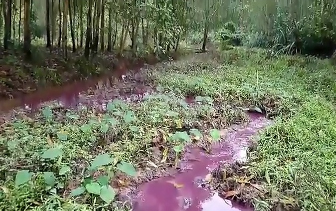 Hãi hùng kênh nước liên tục đổi màu tím, đỏ bất thường ở Huế