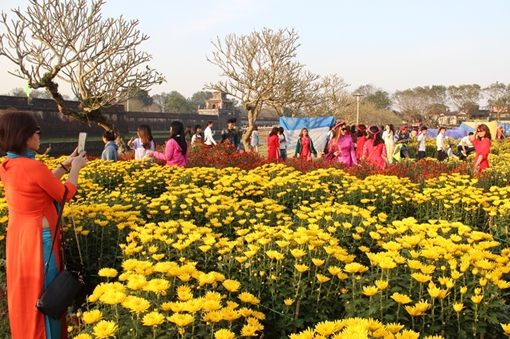 Nhộn nhịp chợ hoa Tết trên đất Cố đô ngày cuối năm 