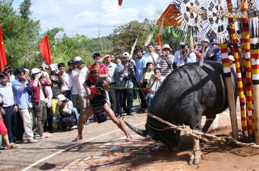 Tổ chức lễ hội đâm trâu, xã bắt dân đóng góp 300 ngàn đồng mỗi hộ