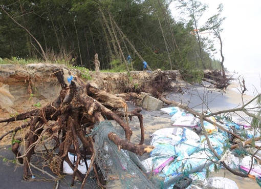 Sạt lở nghiêm trọng tại bờ biển Vinh Hải