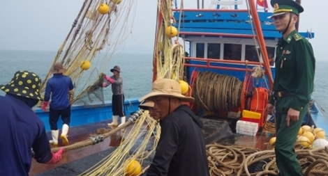 Truy đuổi, bắt giữ hai tàu giã cào đánh bắt hải sản trái phép 