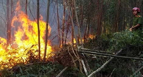 Cháy rừng trên diện rộng ở Huế, di dời khẩn cấp nhiều hộ dân