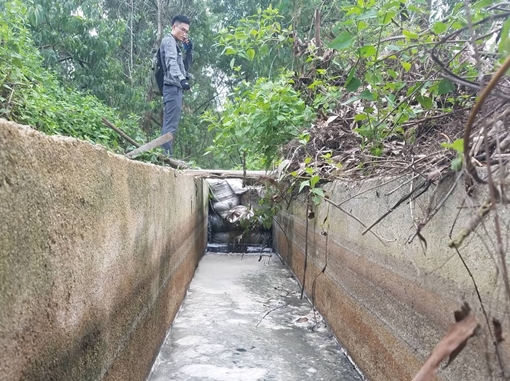 Nhà máy tinh bột sắn Thừa Thiên Huế vi phạm các quy định về xả nước thải