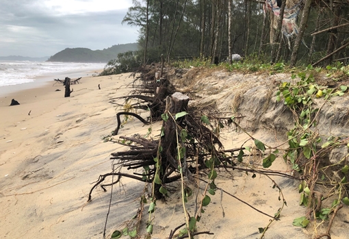 Nhiều tuyến bờ biển ở Huế sạt lở nặng sau bão số 5