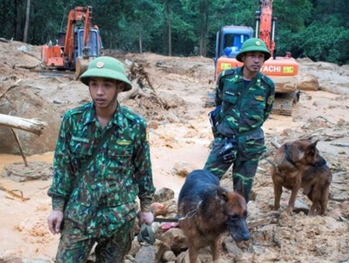 Đưa chó nghiệp vụ vào hiện trường tìm kiếm nạn nhân mất tích ở Rào Trăng 3
