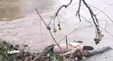 Phát hiện thi thể nam thanh niên bên bờ sông Lợi Nông