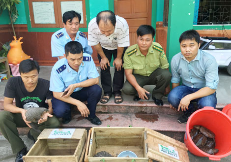 Chung tay bảo vệ các loài động vật hoang dã