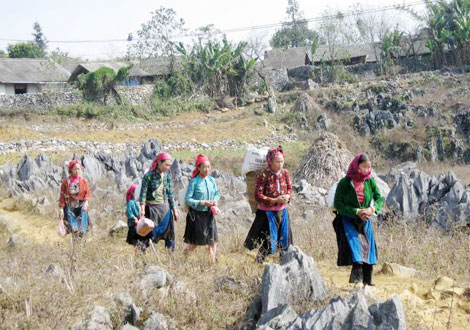 Sớm xây dựng bộ tiêu chí, quy trình công nhận Công viên Địa chất quốc gia