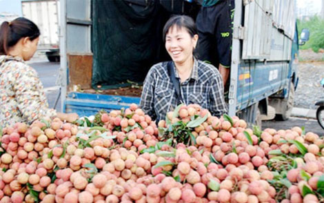 Xuất khẩu vải qua cửa khẩu tăng mạnh