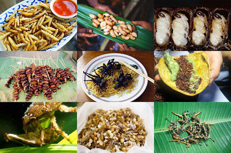 Thực phẩm sạch “chống đói” của tương lai