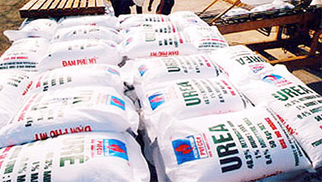 Khởi tố, bắt tạm giam thủ kho “ăn” hơn 19 tấn phân bón