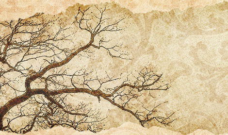 Nhăn trán, nhíu mày như ông cụ non thì chơi với ai?