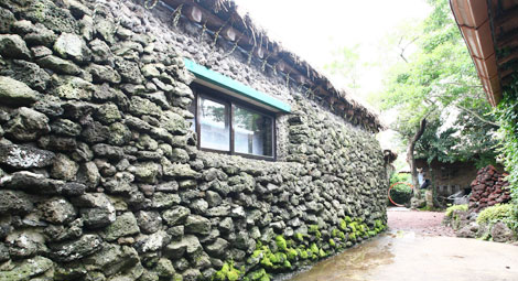 Những tuyệt chiêu nuôi “gà đẻ trứng vàng” ở xứ sở kim chi