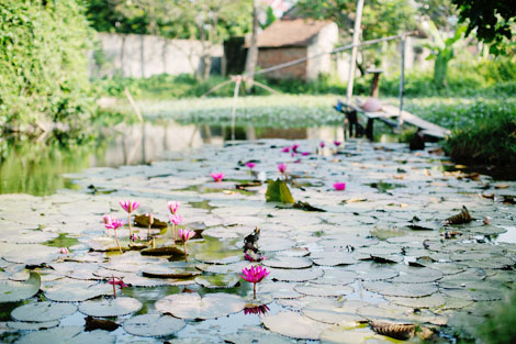 Quê nhà chìm nổi