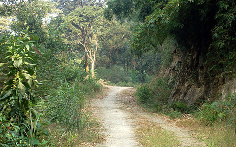 Đi nhiều sẽ thành đường