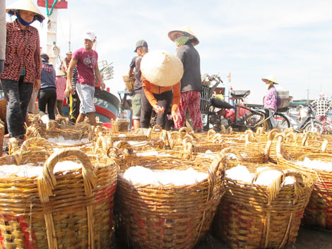 Ghi chép ở Cà Ná