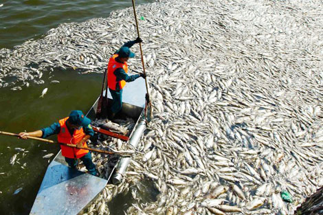 Chúng ta đang đầu độc chính bản thân mình