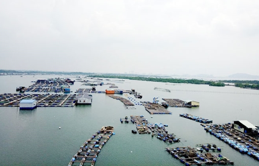 Nghịch lý, nhà hàng nổi vẫn đang bị thả nổi