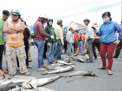 Người dân phản ứng kết luận nguyên nhân cá chết trên sông Chà Và