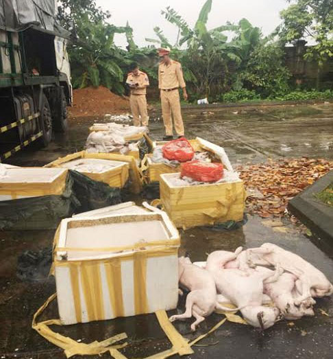 Xe tải Bắc - Nam chở gần 1 tấn thịt chó, mèo và nội tạng động vật 