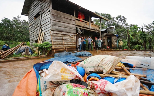 Kì 1: Nóng bỏng việc tranh chấp đất rừng