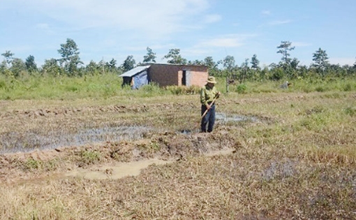 Kỳ 2: Vì sao việc lấn chiếm đất rừng gia tăng?