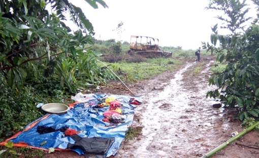 Sẽ điều tra, làm rõ những sai phạm của Công ty Long Sơn