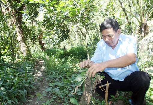 Bắt trộm bằng… sóng vô tuyến