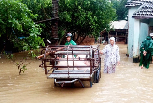 Thiên tai làm thiệt hại hơn 36.000 tỷ đồng