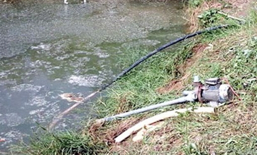 Dùng máy bơm nước tưới cây bị điện giật chết tại chỗ