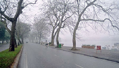 Trong cơn gió rét