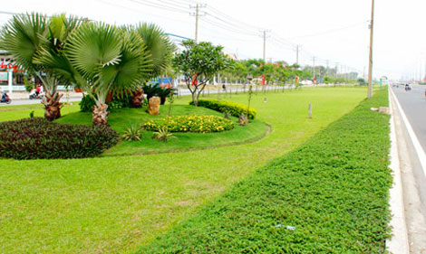 Hà Nội giảm 40% kinh phí duy trì công viên cây xanh