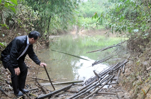 Nhiều nông dân điêu đứng khi hồ Tả Trạch tích nước