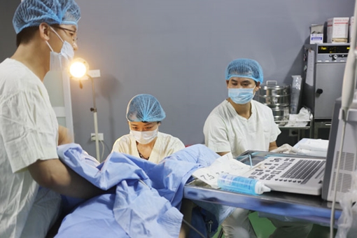 Lửa hạnh phúc thắp lại trong nhiều ngôi nhà hiếm muộn