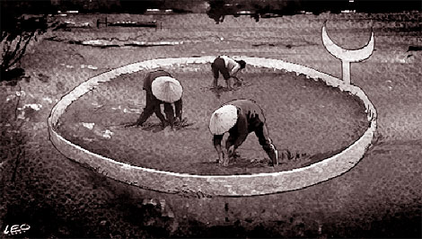 Nông thôn Việt Nam và cuộc cách mạng ruộng đất lần thứ ba