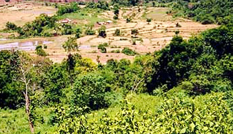 Phát hiện bộ xương người khô mục trong bụi rậm