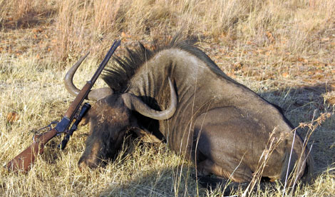 Chuyến đi săn nhuốm máu