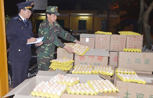 Tăng cường chống dịch cúm gia cầm ở Quảng Ninh