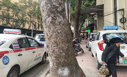 Hà Nội "khát" điểm đỗ xe