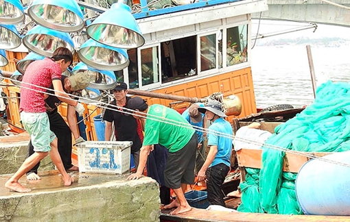 Ngư dân Quảng Trị ổn định cuộc sống sau sự cố môi trường biển