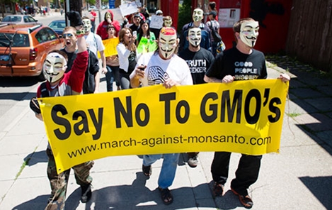 Thực phẩm biến đổi gen lợi bất cập hại