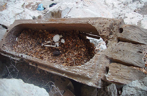 Bí ẩn những cỗ quan tài treo ở Tây Bắc